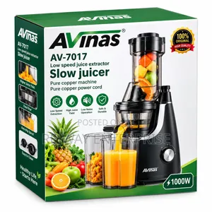 Low Speed Juice Extractor Slow Juicer
