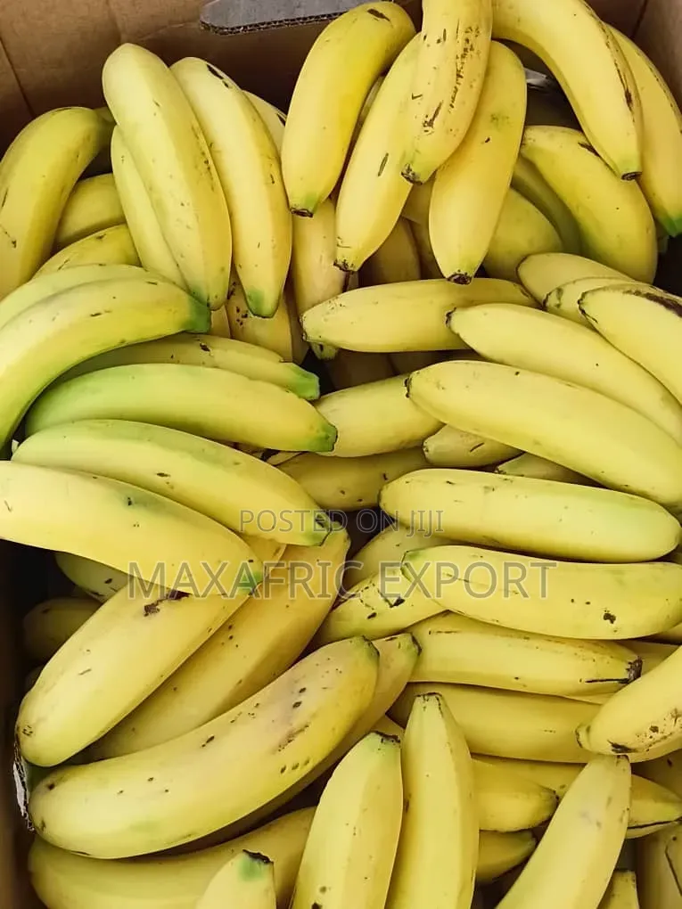 Fresh Banana