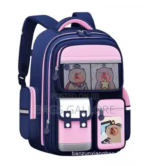 Student School Bag