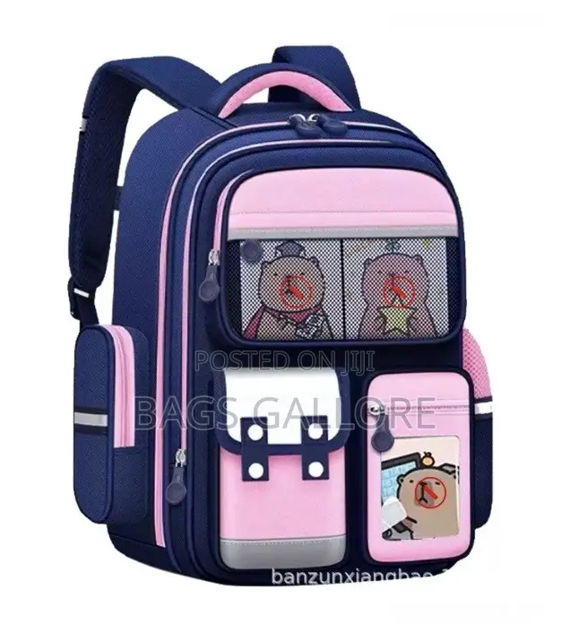 Student School Bag