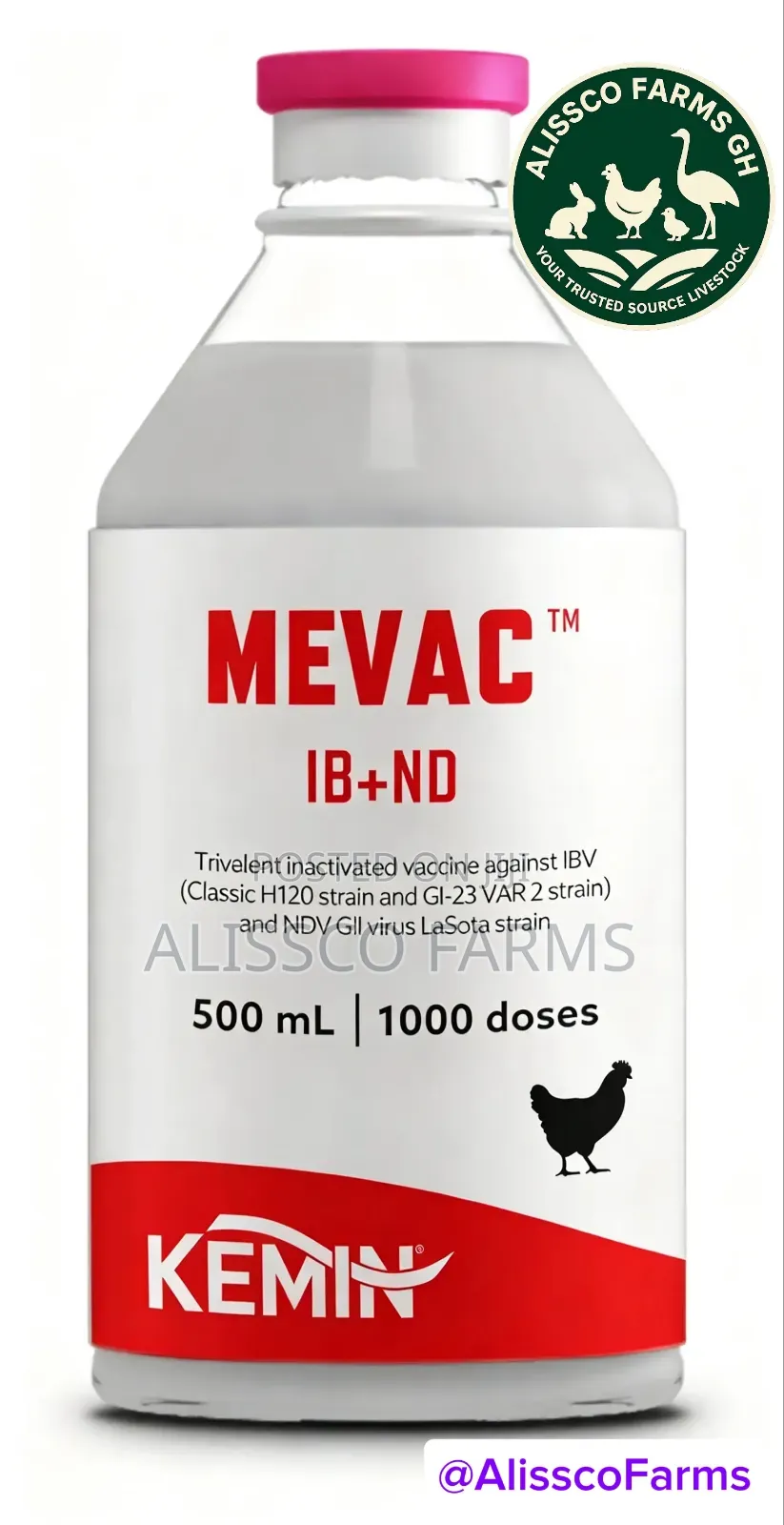 3rd Newcastle Vaccine + Infectious Bronchitis