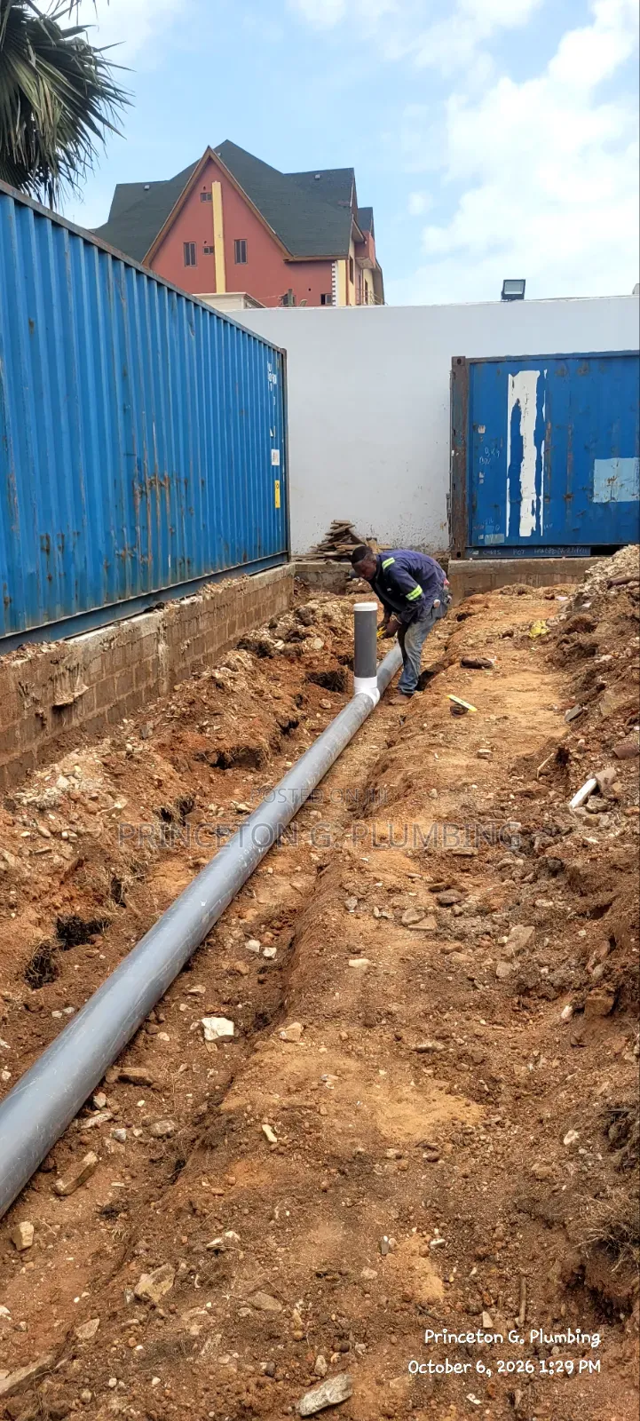 Professional Plumber