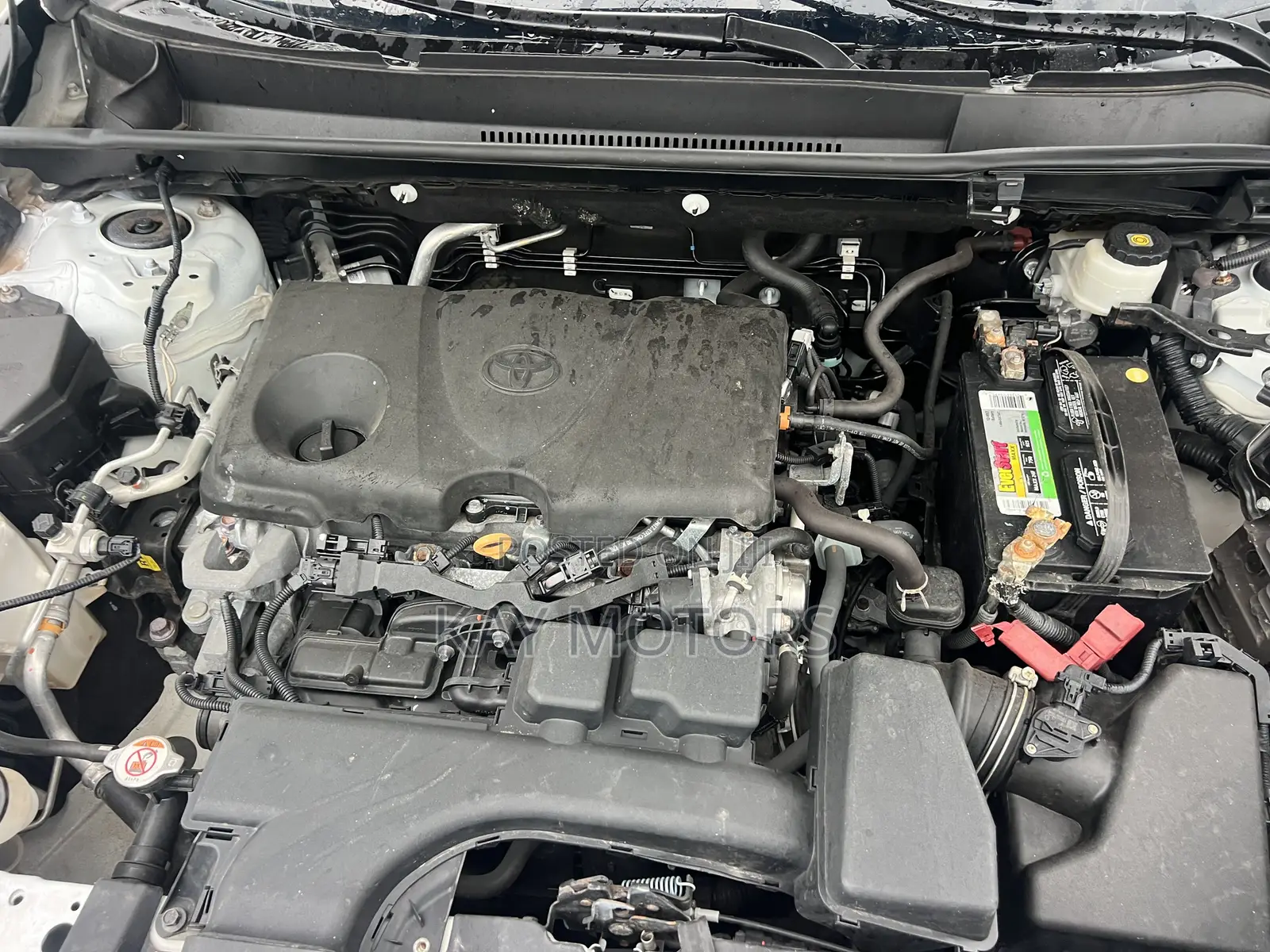 Toyota RAV4 XLE AWD 2024 White