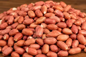 Peanut (Groundnut)