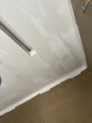 Ceiling Expert