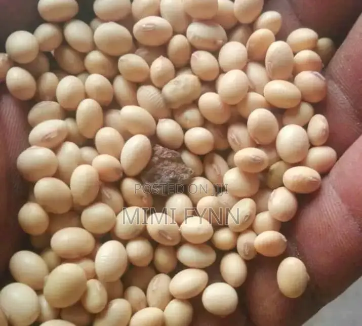 Soya Beans (100kg - 700 Cedis)