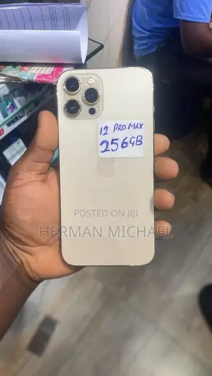 Apple iPhone 12 Pro Max 256 GB White