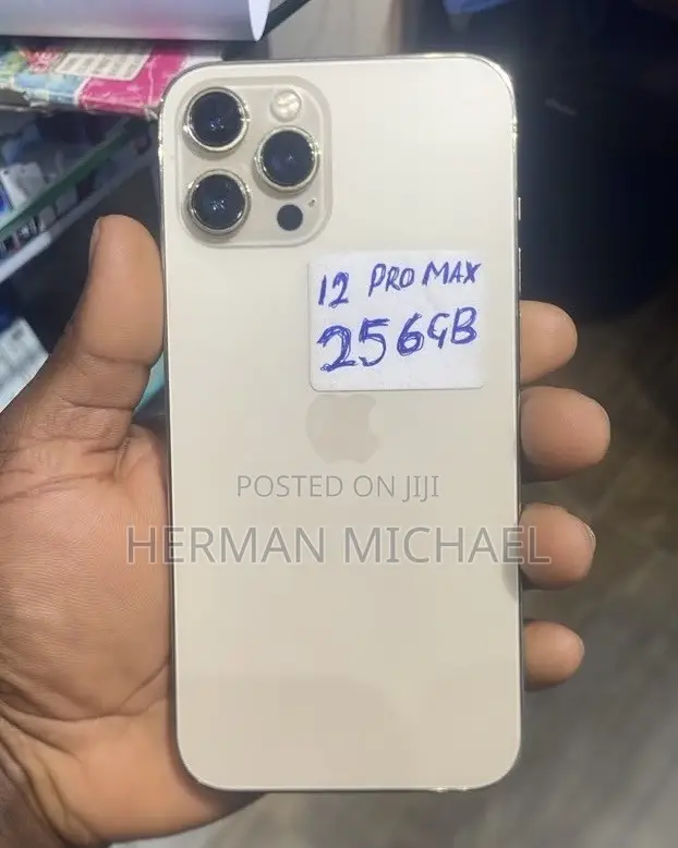 Apple iPhone 12 Pro Max 256 GB White