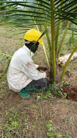We Need You in Our Farm