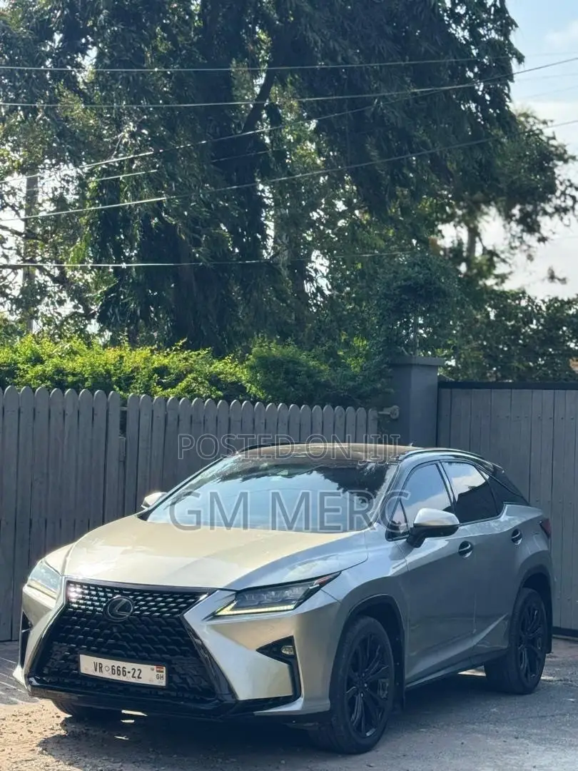 Lexus RX 2019 Gray