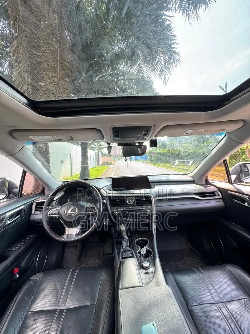 Lexus RX 2019 Gray