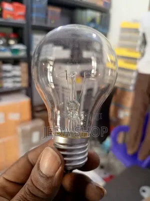 100w Filament Bulb