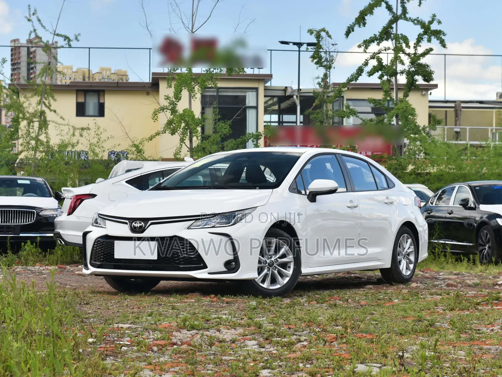 Toyota Corolla Hybrid 2024 White