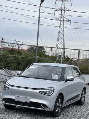 New Dongfeng Nammi Box 2025 Gray