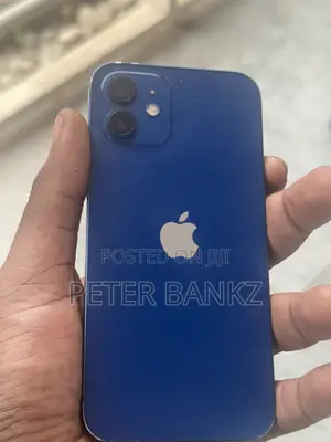 Apple iPhone 12 256 GB Blue