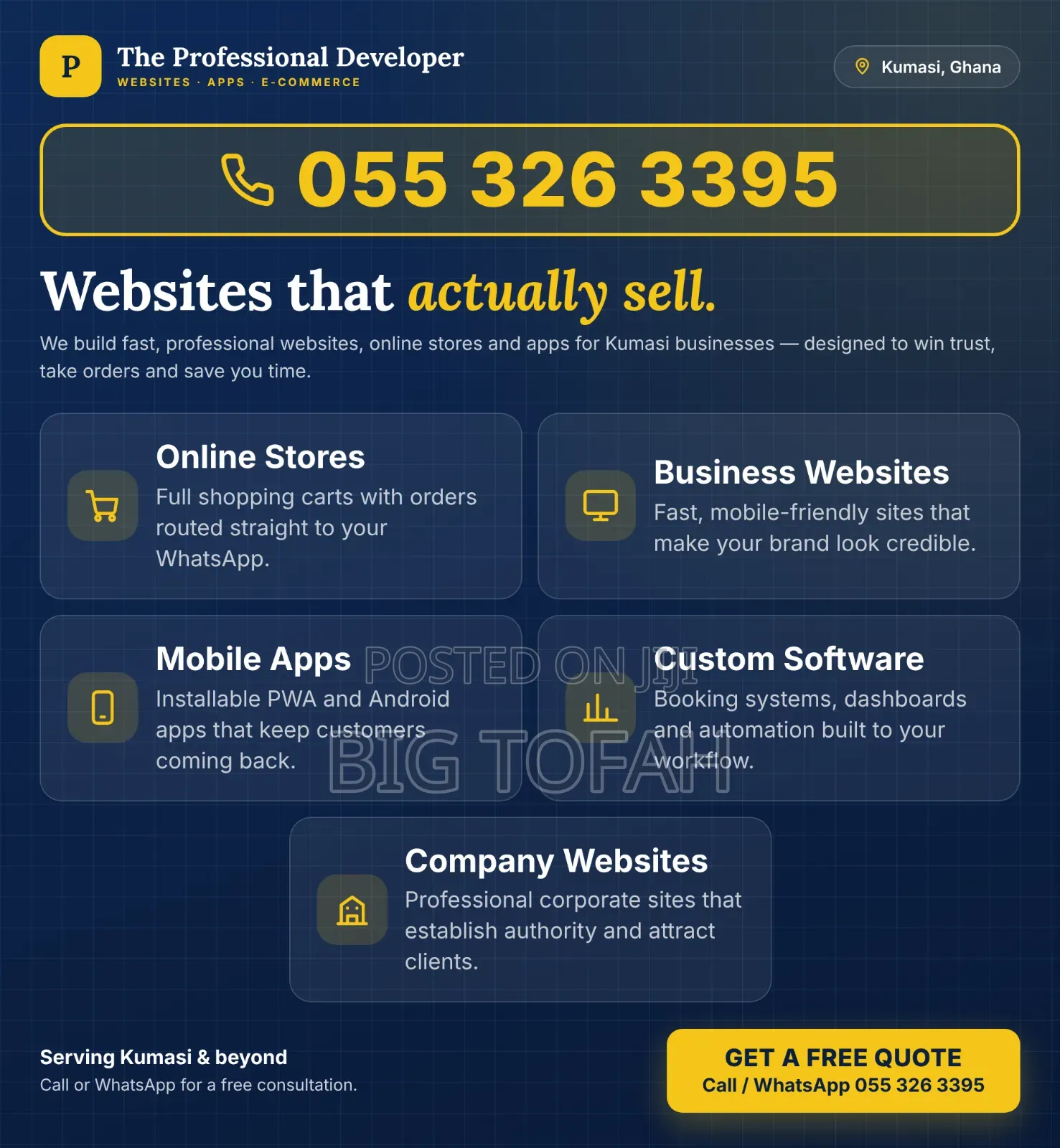 Professional Web Developer
