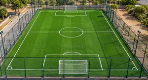 Astro Turf
