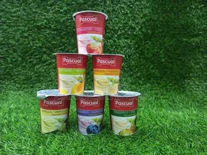 Pascual Yoghurt