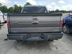 Ford F-150 2013 Gray