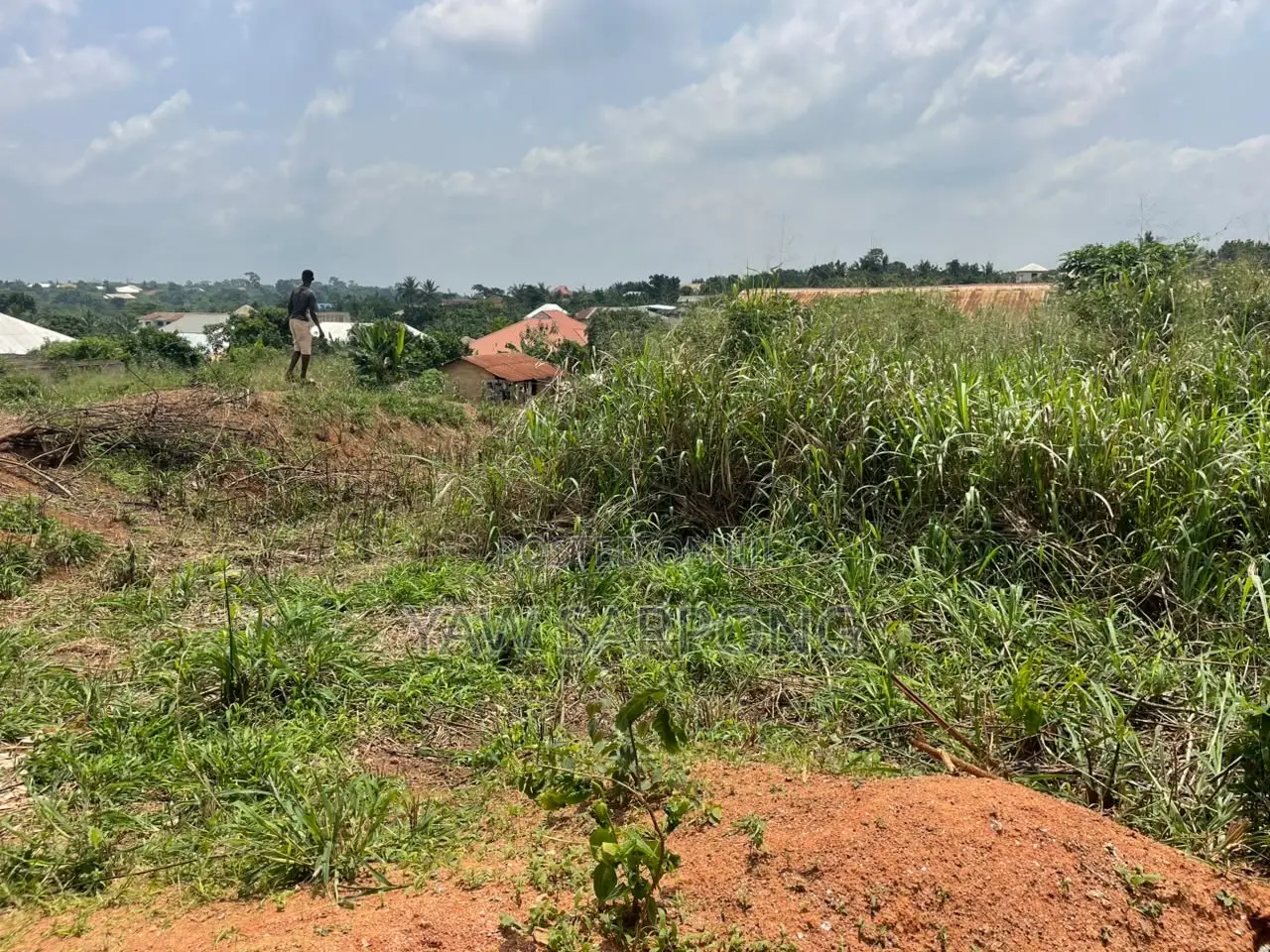 Plot of Land for Sale at Safo