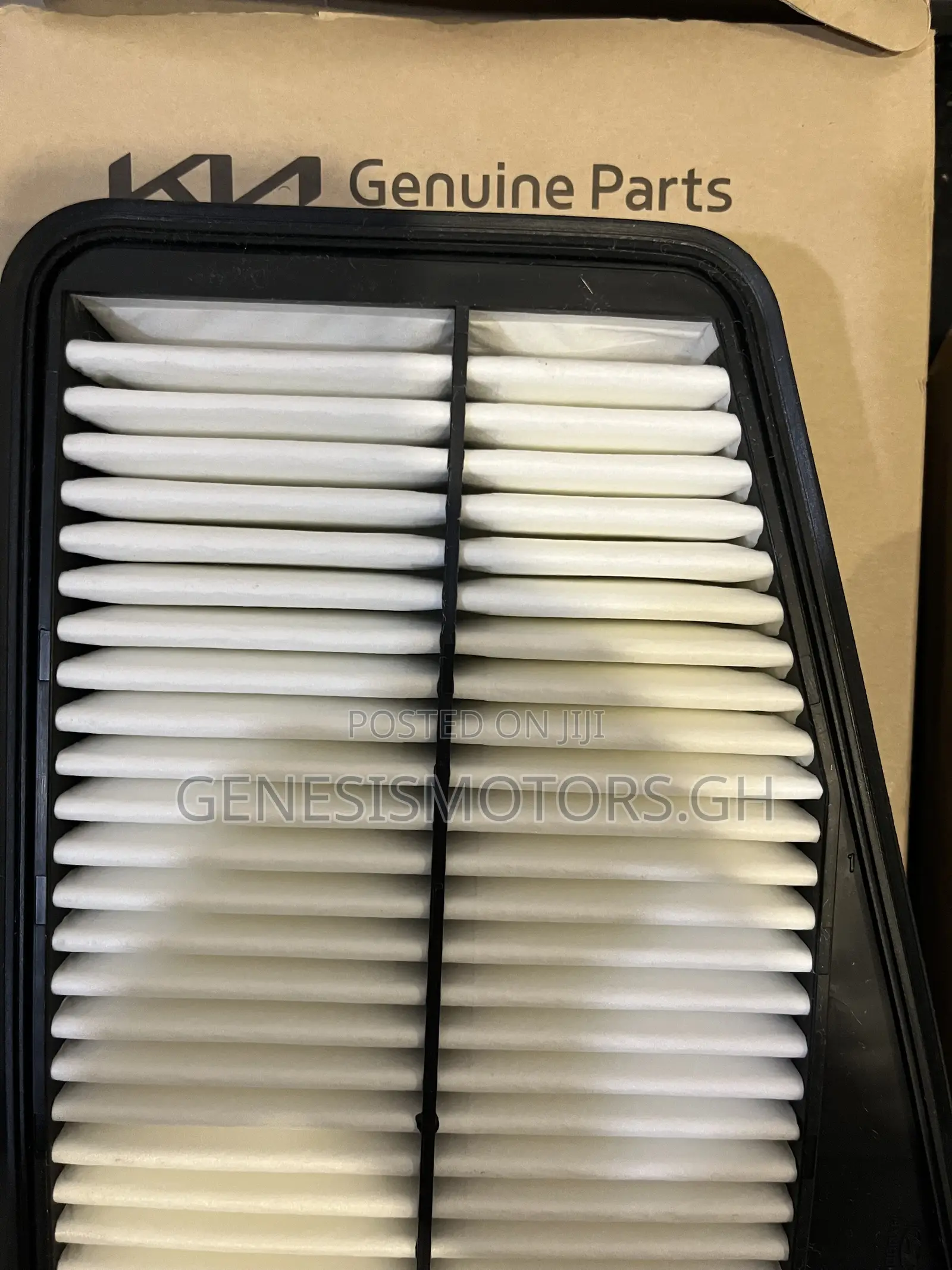 Kia Stinger Oem Engine Filters LH-RH