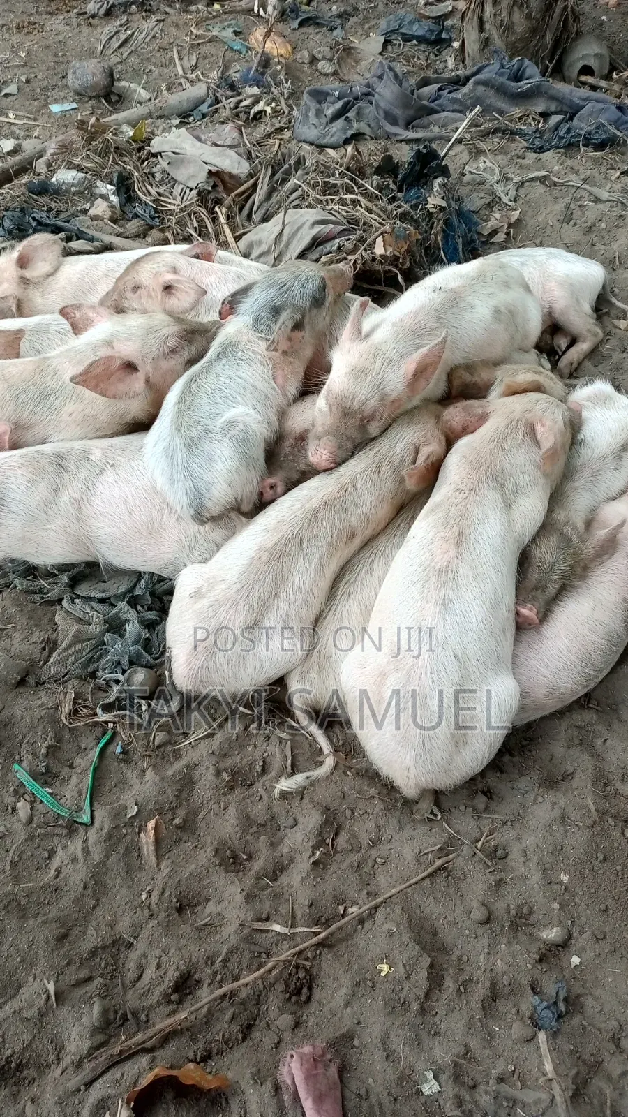 Our Day Farm