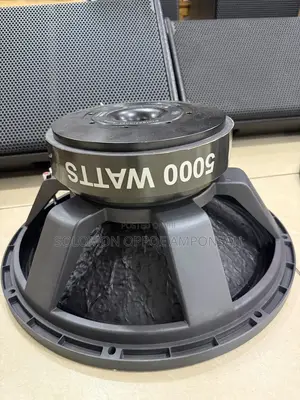 Titanic GLS 5,000-Watt Professional Naked Subwoofer Speaker