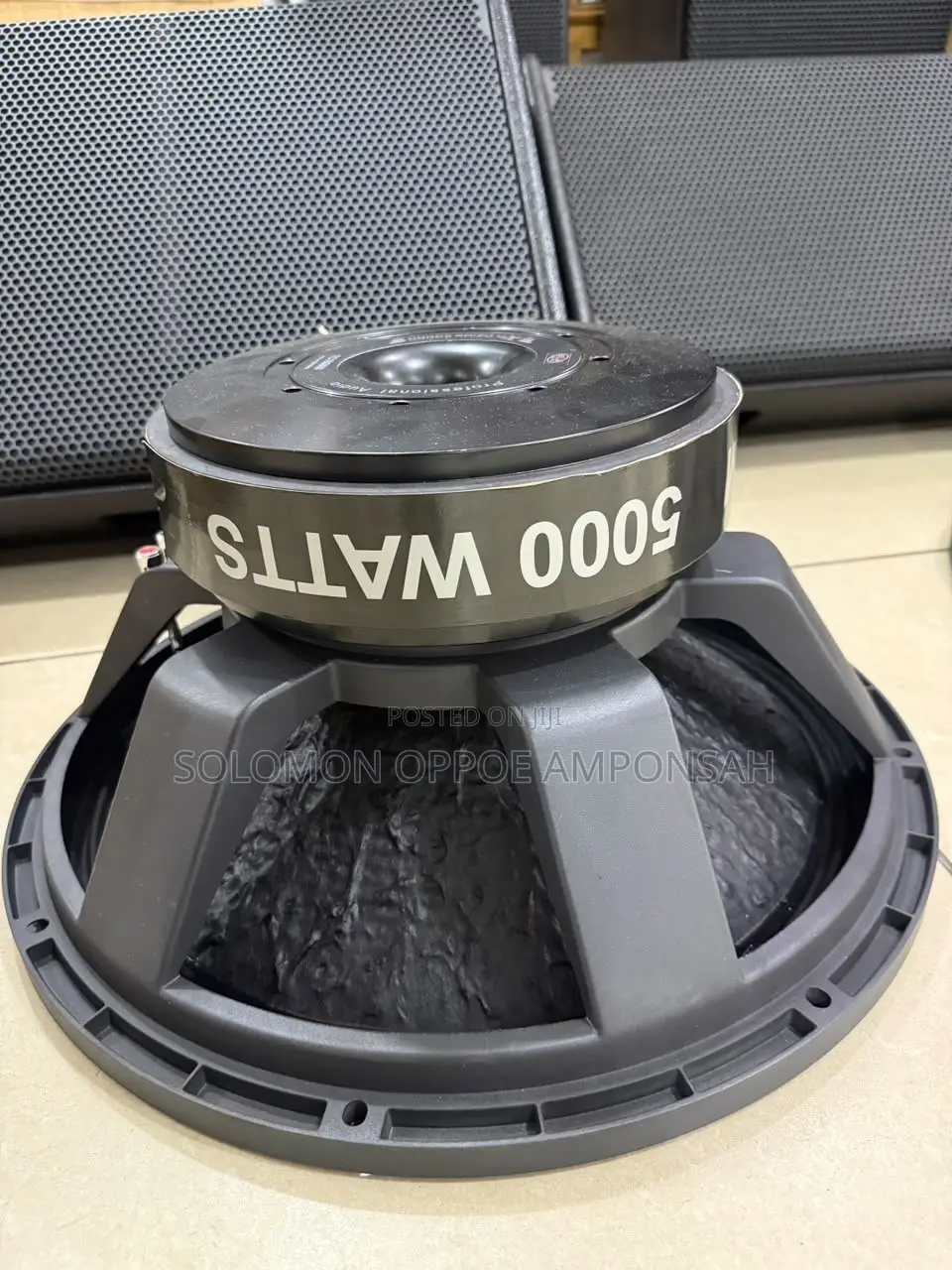 Titanic GLS 5,000-Watt Professional Naked Subwoofer Speaker