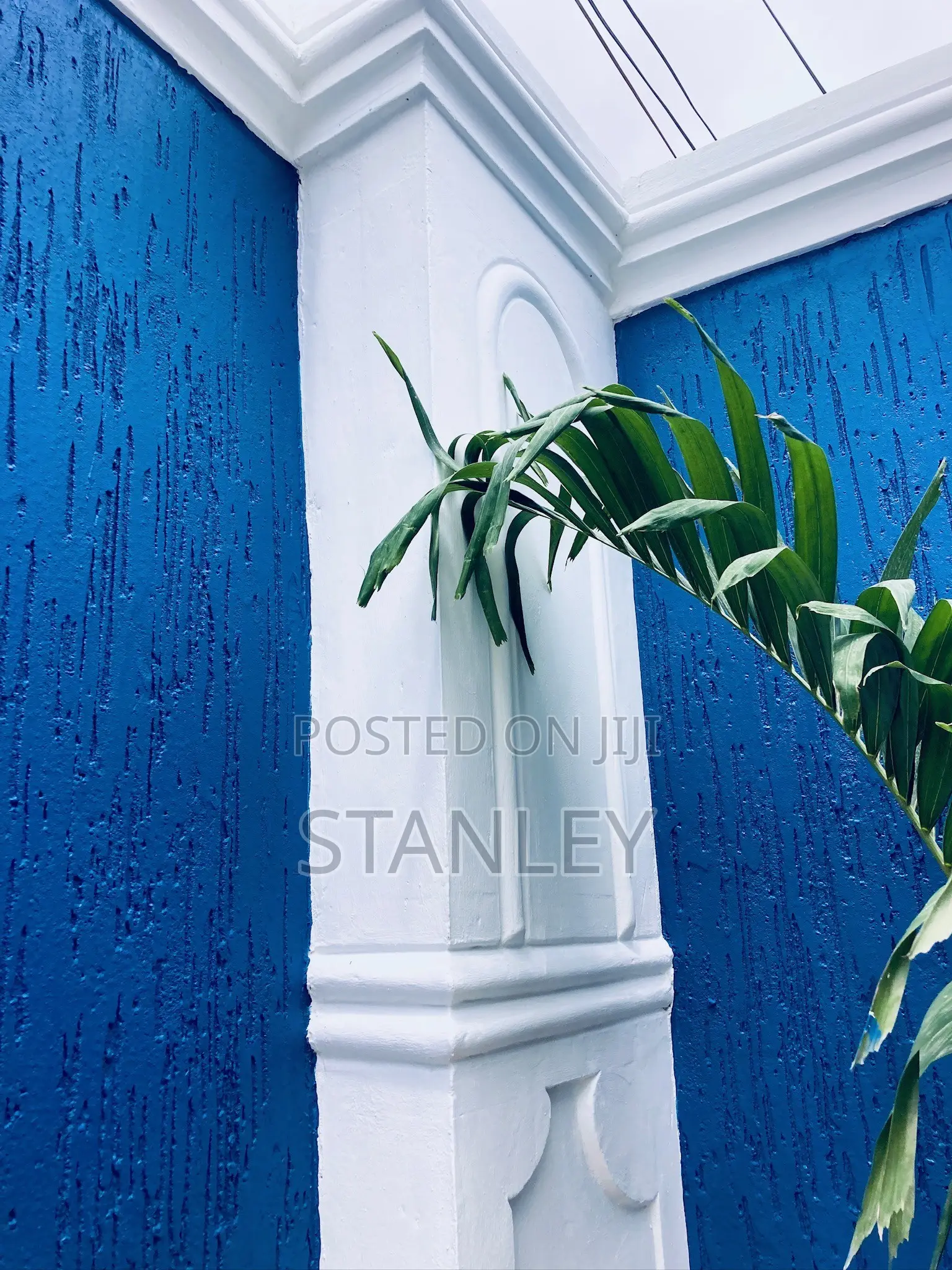 Professional Grafiato Painting Services