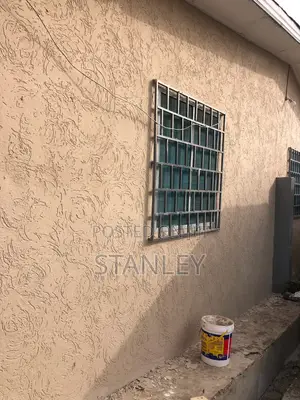 Professional Grafiato Painting Services