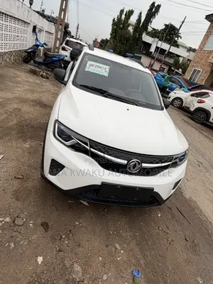 Dongfeng EV EX1 33 kW FWD 2023 White