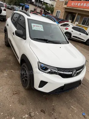Dongfeng EV EX1 33 kW FWD 2023 White