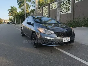 Kia Forte EX Sedan 2014 Gray