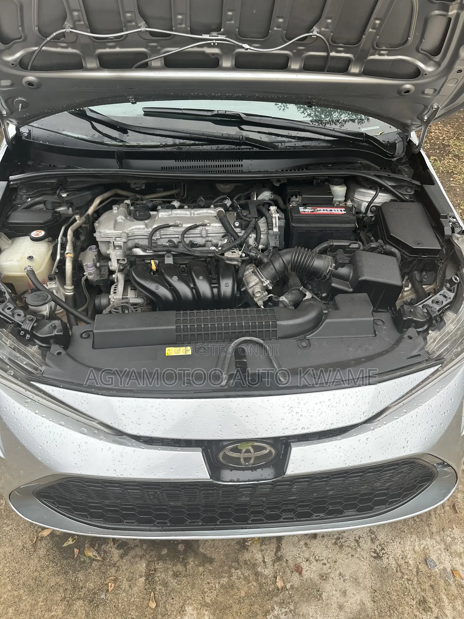 Toyota Corolla LE 2020 Silver
