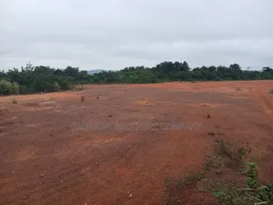 Perfect Lands