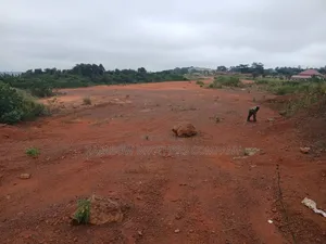 Perfect Lands