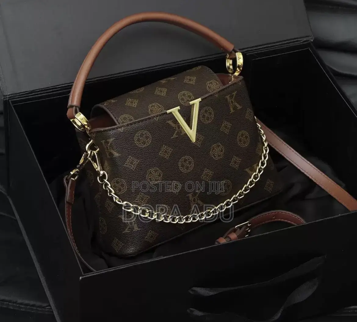 Ladies Louis Vuitton Handbag