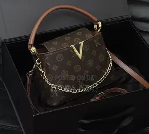 Ladies Louis Vuitton Handbag