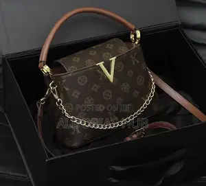 Ladies Louis Vuitton Handbag