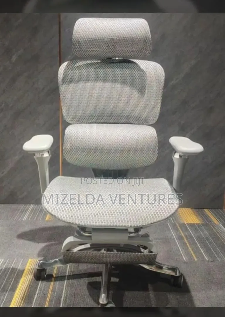Alfordsom Ergonomic Swivel Chair