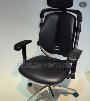 Alfordsom Ergonomic Swivel Chair