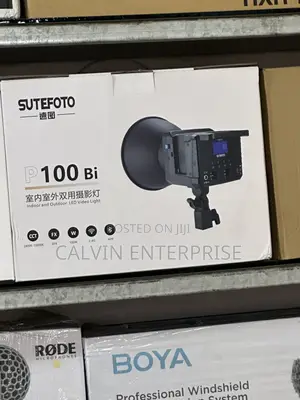 P100 Indoor and Outdoor LED Video Light