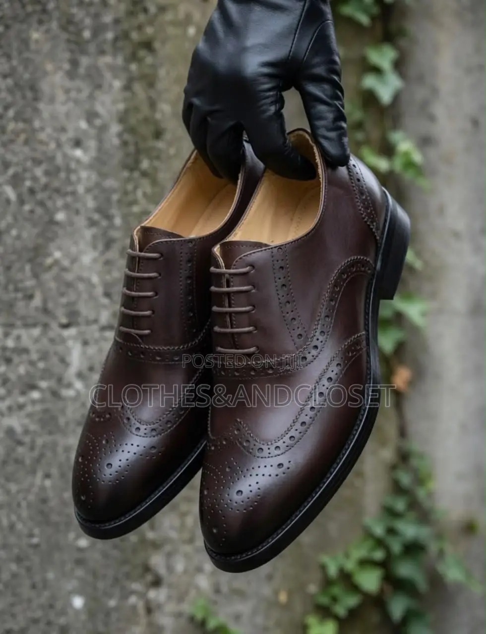 Brogue Derby / Oxford Dress Shoe With Wingtip Design