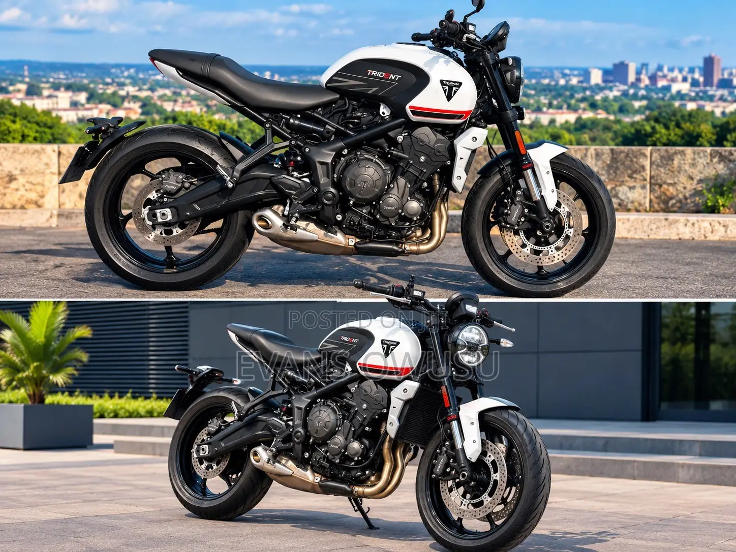 Triumph 2023