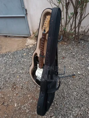 Ecore Blastet E 60 Guitar in Hard Case