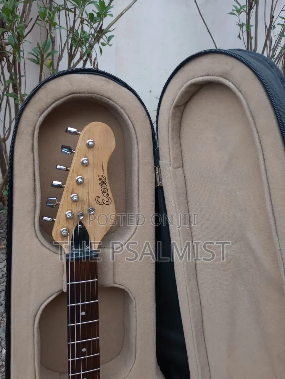 Ecore Blastet E 60 Guitar in Hard Case