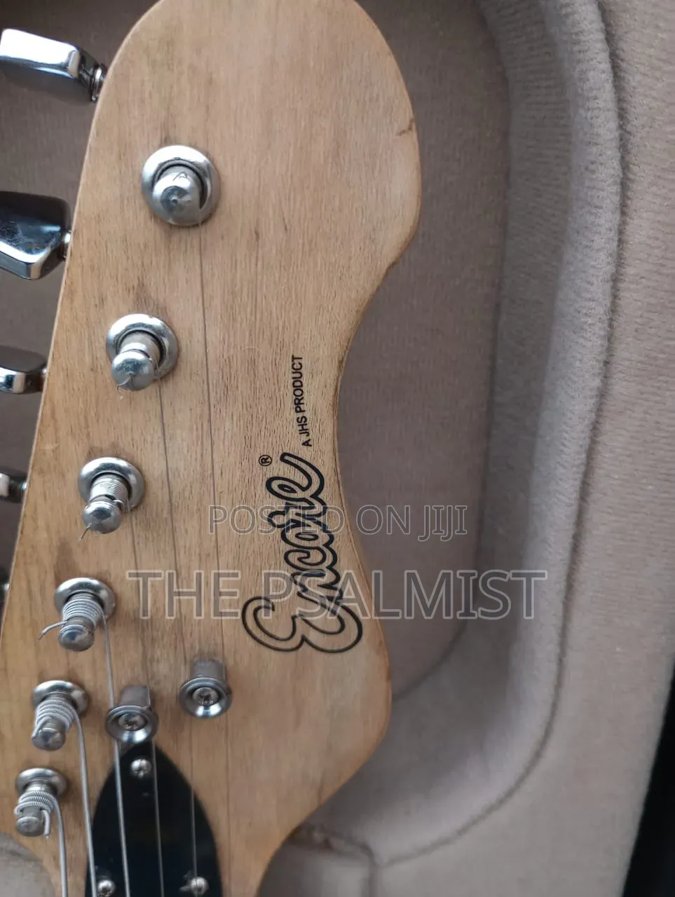 Ecore Blastet E 60 Guitar in Hard Case