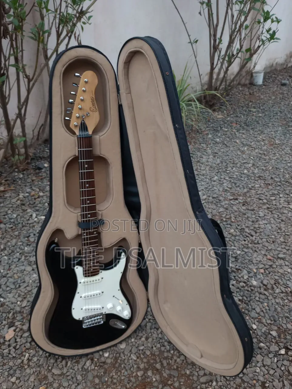 Ecore Blastet E 60 Guitar in Hard Case