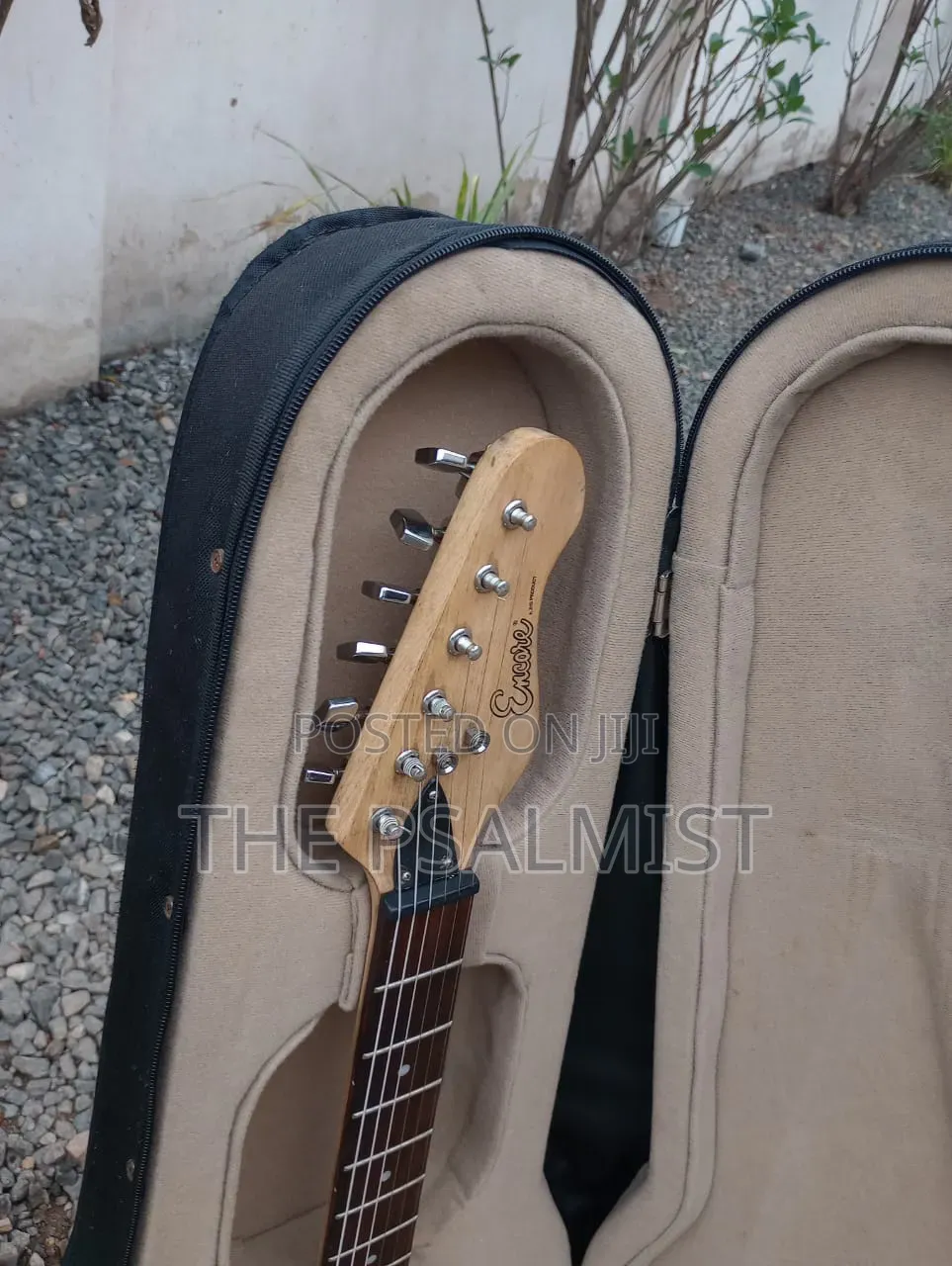 Ecore Blastet E 60 Guitar in Hard Case