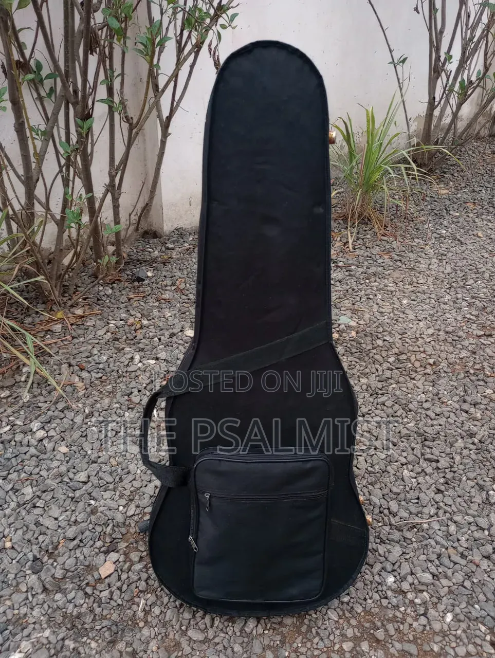 Ecore Blastet E 60 Guitar in Hard Case